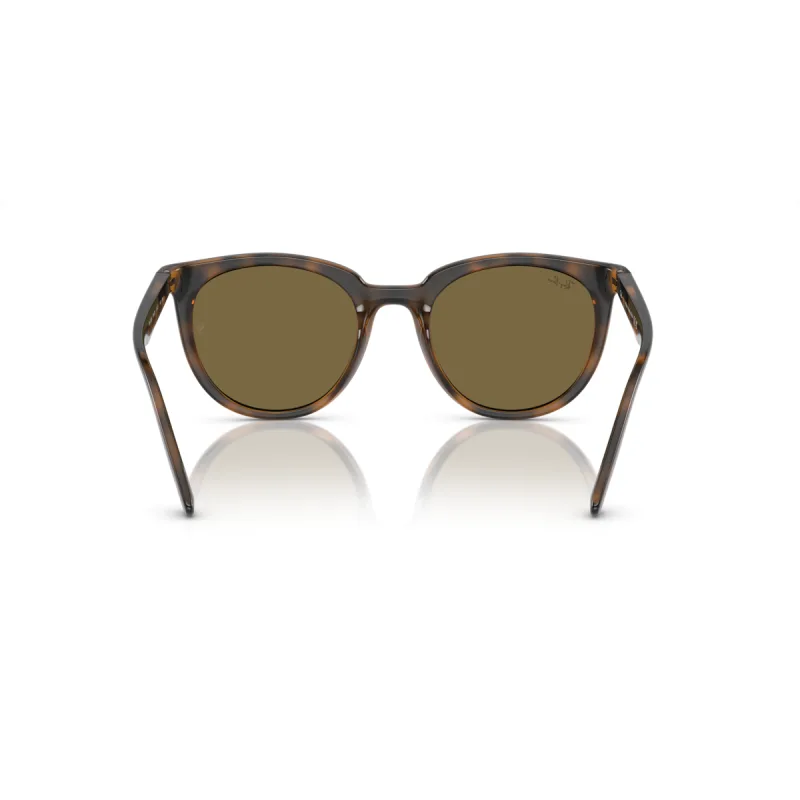 Ray-Ban Rb4383l 710/73-53-XL