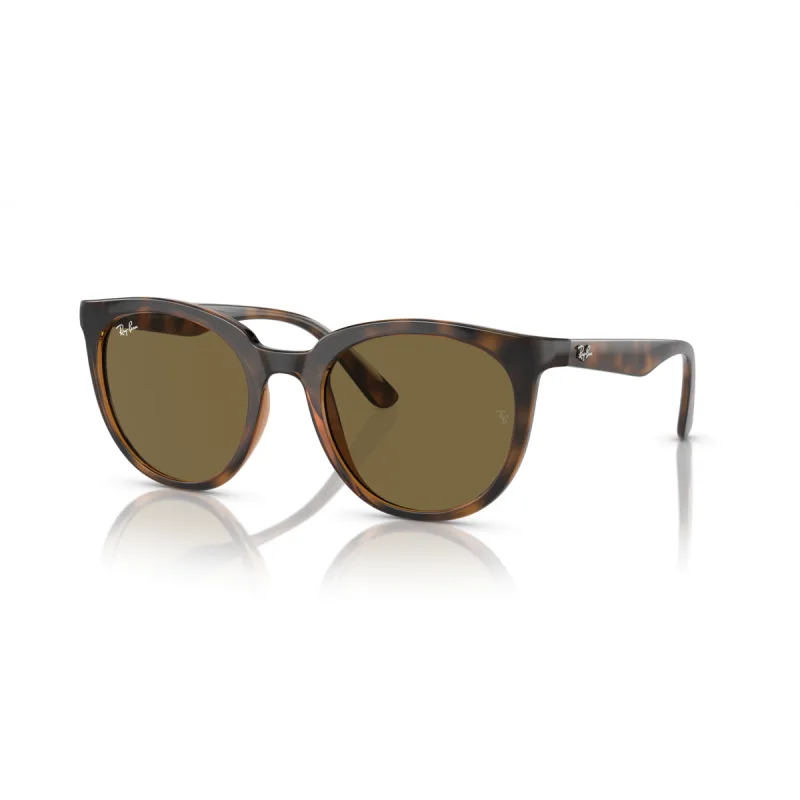 Ray-Ban Rb4383l 710/73-53-XL