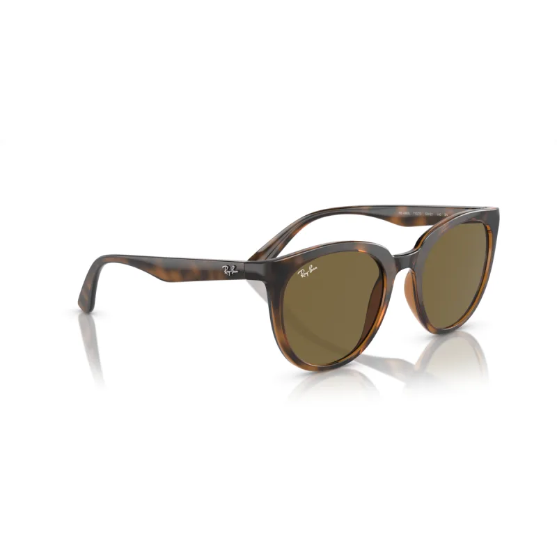 Ray-Ban Rb4383l 710/73-53-XL