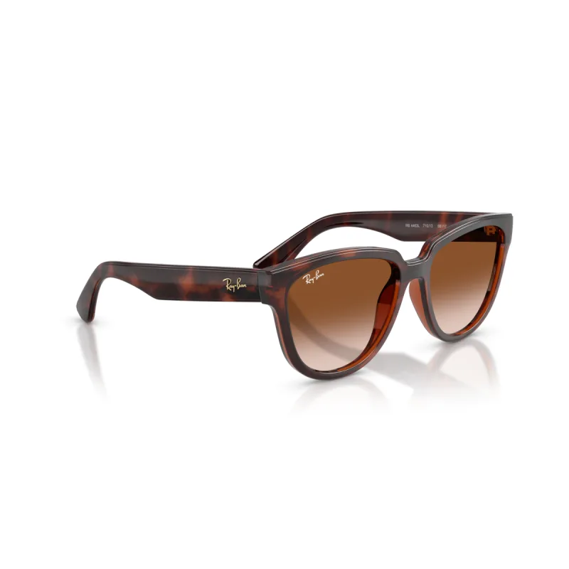 Ray-Ban RB4463L 710/13-56-M