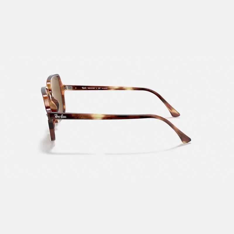 Ray-Ban RB1973 954/57-53-L