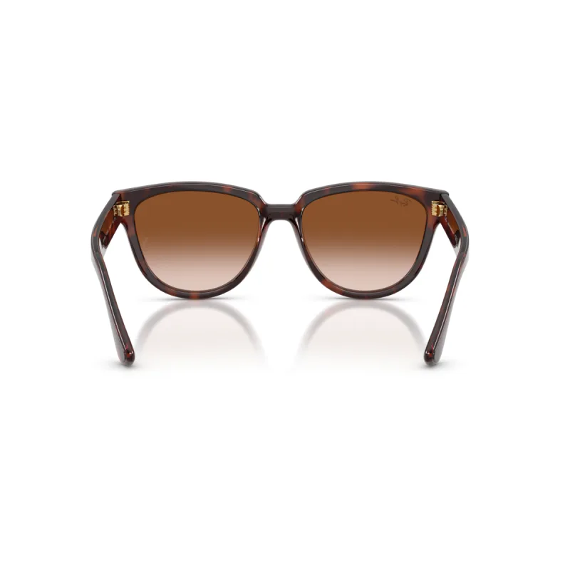 Ray-Ban RB4463L 710/13-56-M
