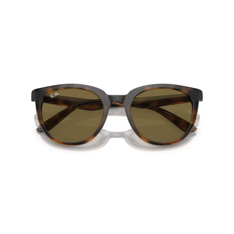 Ray-Ban Rb4383l 710/73-53-XL
