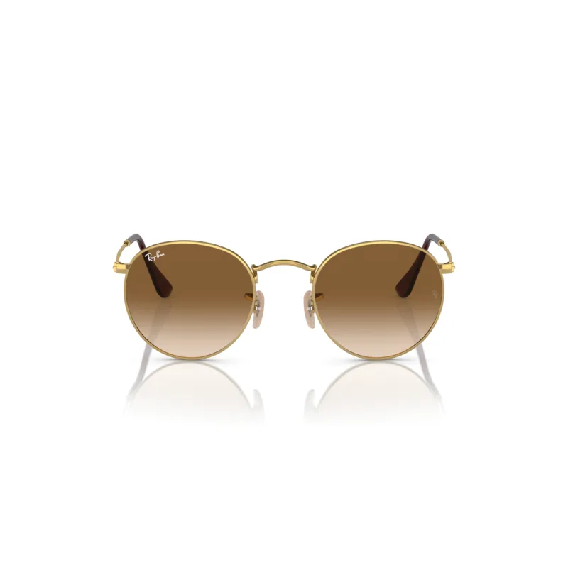 Ray-Ban RB3447 001/51-47-XS